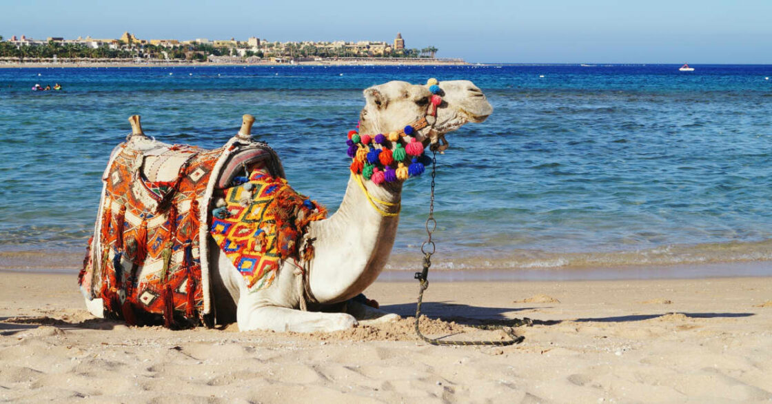 Voo Lisboa para Hurghada: Dicas