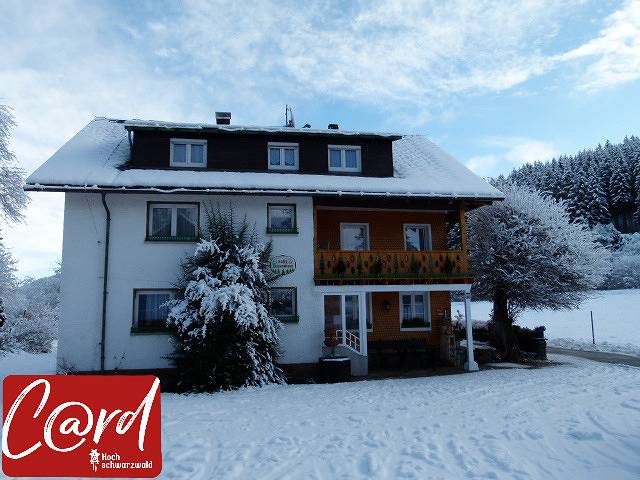 Viagem para Hotel na Floresta Negra.