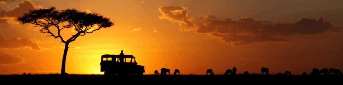 Quénia | Safari Kongoni: 2316€ por pessoa