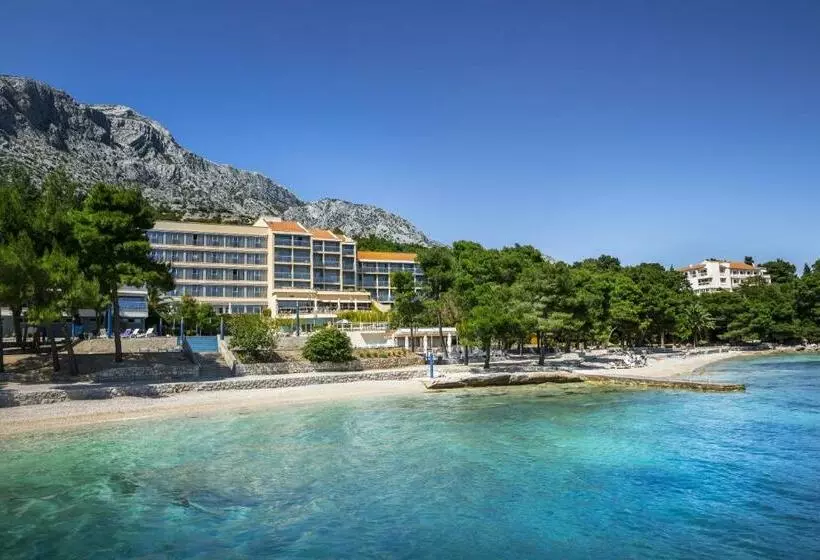 Aminess Vival Grand Azur desde 62€: descanso em Croácia
